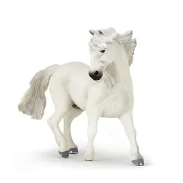 kon-camargue