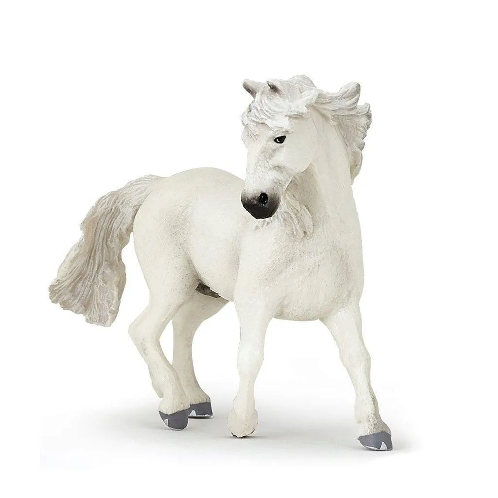 kon-camargue