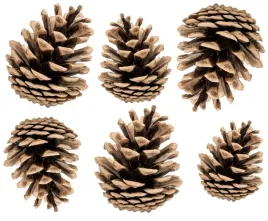 szyszki-naturalne-na-choinke-stroik-dekoracja-swiateczna-ozdoba-susz
