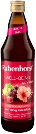 rabenhorst-sok-wieloowocowy-nfc-z-zelazem-i-witaminami-c-b6-b12-750ml