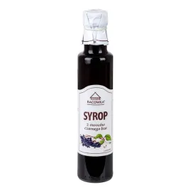 bacowka-syrop-z-owocow-czarnego-bzu-315g