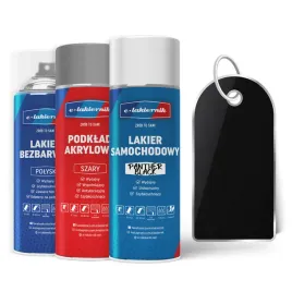 lakier-samochodowy-w-sprayu-zestaw-naprawczy-ford-panther-black