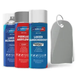 lakier-samochodowy-w-sprayu-zestaw-naprawczy-ford-moondust-silver