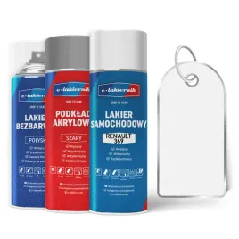 lakier-samochodowy-w-sprayu-zestaw-naprawczy-renault-dv369-blanc-glacier