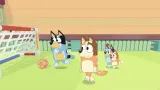 bluey-the-videogame-pl-nsw-wersja-gry-pudelkowa