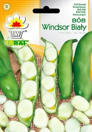 bob-windsor-bialy-50g-toraf-nasiona-bobu-odmiana-sredniowczesna