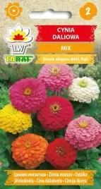 cynia-daliowa-mieszanka-mix-kolorow-toraf-1g-nasiona-kwiatow-cynii-kolorowe