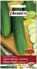 ogorek-gracius-gladki-gruntowy-salatkowy-plantico-5g-nasiona-ogorka