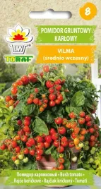 pomidor-vilma-gruntowy-karlowy-na-balkon-toraf-03g-nasiona-pomidora
