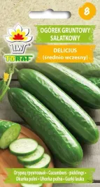 ogorek-gruntowy-salatkowy-delicius-nasiona-ogorka-toraf-5g