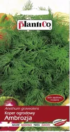 koper-ambrozja-odmiana-wczesna-plantico-5g-nasiona-kopru-ogrodowego