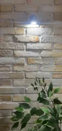 stara-cegla-wenecka-stare-cegly-1m2