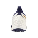 wave-momentum-3-45-marka-mizuno-rozmiar-405