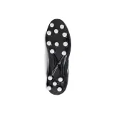 arenga-301-kod-producenta-2159301