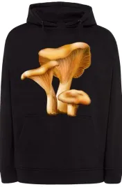 rydze-meska-modna-bluza-grzybiarz-r-5xl