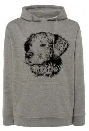 bluza-meska-nadruk-pies-golden-retriever-r-3xl