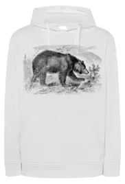 bluza-meska-nadruk-zwierze-niedzwiedz-r-xxl