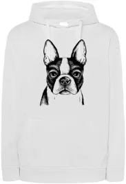 bluza-nadruk-pies-boston-terrier-r-xl