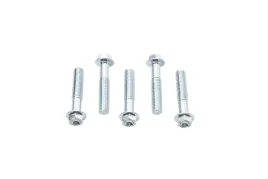 accel-sruba-kolnierzowa-m8x40mm-z-wkleslym-lbem-bez-oznaczen-5-szt