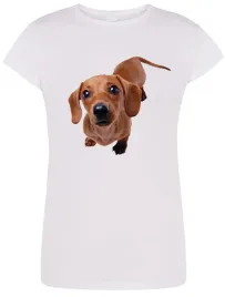 t-shirt-damski-modny-jamnik-pies-r-m
