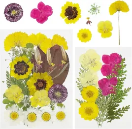 naturalne-suszone-prasowane-kwiaty-mieszanka-suszone-liscie-scrapbooking