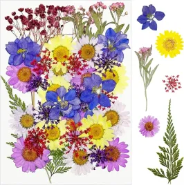 naturalne-suszone-prasowane-kwiaty-mieszanka-suszone-liscie-scrapbooking