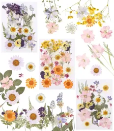 naturalne-suszone-prasowane-kwiaty-mieszanka-suszone-liscie-scrapbooking