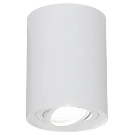 punktowa-oprawa-sufitowa-plafon-bialy-gu10