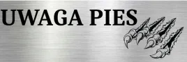 aluminiowa-tabliczka-na-bramke-z-napisem-uwaga-pies-15x10-nierdzewna