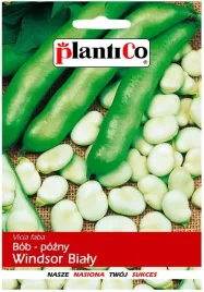 bob-windsor-pozny-50g-plantico-nasiona-bobu-duze-biale