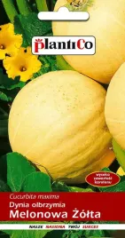 dynia-olbrzymia-melonowa-zolta-plantico-5g-nasiona-dyni-kulistej-duzej