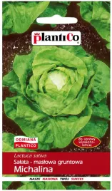 salata-michalina-maslowa-wczesna-plantico-1g-nasiona-salaty-uprawa-gruntowa