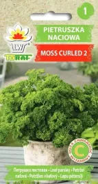 pietruszka-naciowa-kedzierzawa-moss-curled-2-toraf-2g-nasiona-pietruszki