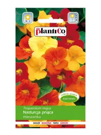 nasturcja-pnaca-mix-plantico-5g-nasiona-nasturcji-wielokolorowe-kwiaty
