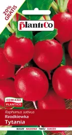 rzodkiewka-tytania-12g-plantico-nasiona-rzodkiewki-czerwonej-kulistej
