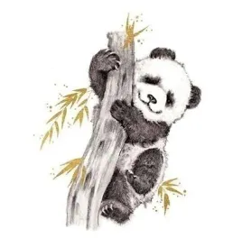 karnet-zlocony-kwadrat-cl3816-bl-panda
