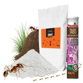 effect-neopermin-srodek-proszek-na-mrowki-faraona-na-mrowiska-5kg-gratis