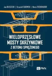 wieloprzeslowe-mosty-skrzynkowe-z-betonu-jan-biliszczuk