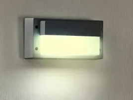 oprawa-elewacyjna-led-barr-9w-ww-szara