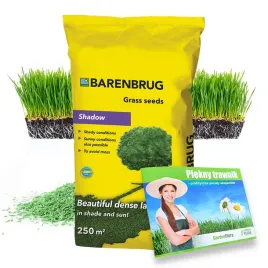 trawa-barenbrug-shadow-na-cien-nasiona-miejsca-zacienione-cieniolubna-10kg