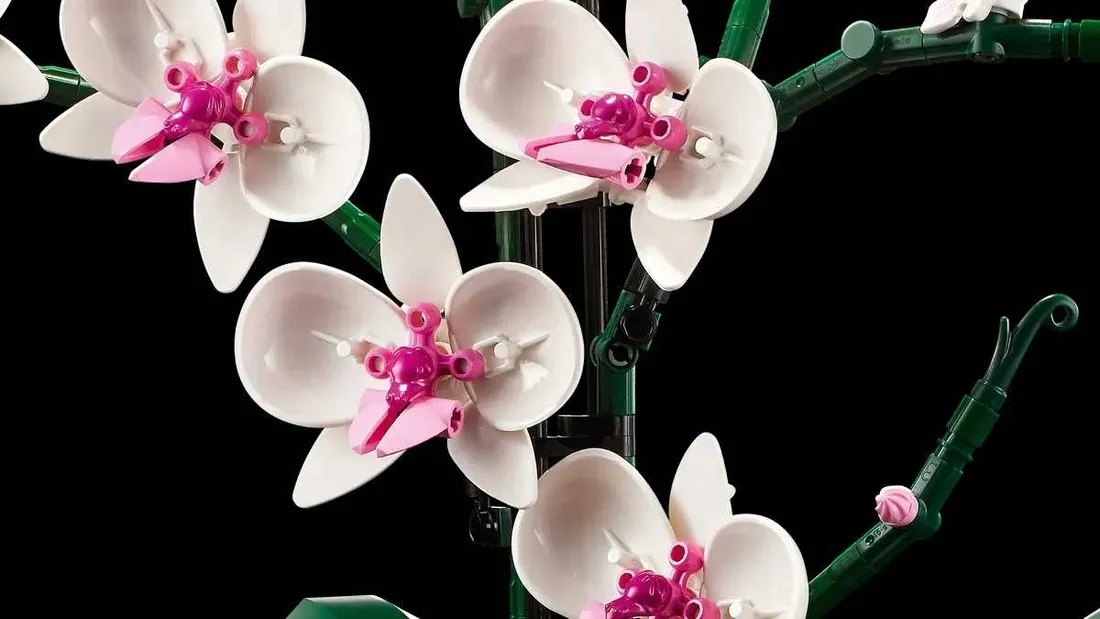 lego-botanicals-10311-storczyk-orchidea-z-klockow
