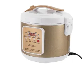 golden-black-garlic-fermenter-fermenter-do-czarnego-czosnku