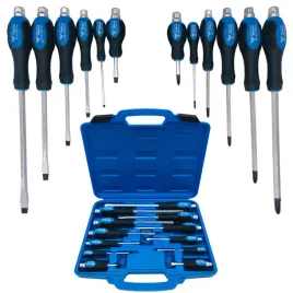 zestaw-wkretakow-srubokretow-do-pobijania-12-sztuk-plaski-sl-philips-ph