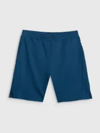 spodenki-meskie-4f-sportowe-dresowe-z-nadrukiem-m-m744-ss26