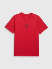 t-shirt-meski-4f-koszulka-sportowa-z-nadrukiem-100percent-bawelna-3xl-m3328-ss26