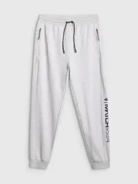spodnie-meskie-dresowe-4f-joggery-sportowe-m-m1442-ss26