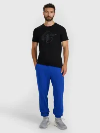 spodnie-meskie-dresowe-4f-joggery-bawelniane-ttrom1272-aw25-xl
