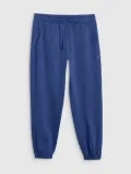 spodnie-meskie-dresowe-4f-brush-basic-ttrom1140-aw25-xl-kolor-niebieski