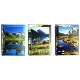 album-do-zdjec-albumy-wsuwane-10x15-200-szyty-z-miejscem-na-opis