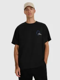 t-shirt-meski-4f-koszulka-bawelniana-l-ttshm2401-aw25